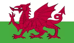 威尔士 队徽